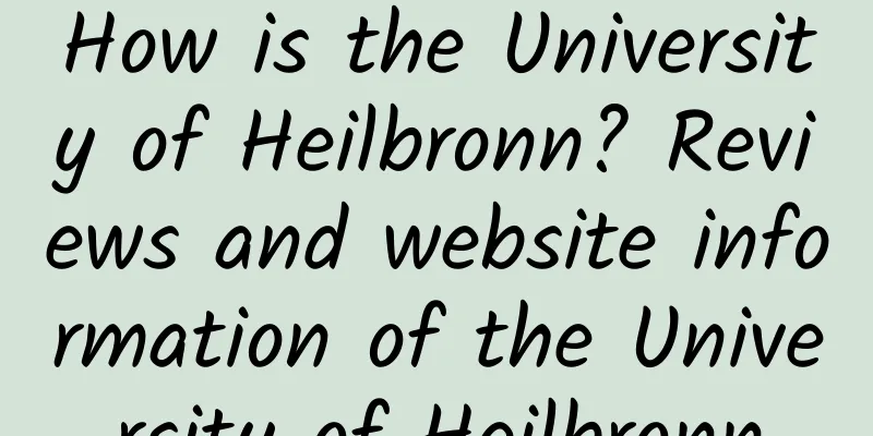 How is the University of Heilbronn? Reviews and website information of the University of Heilbronn