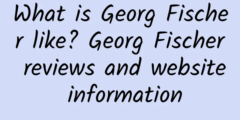 What is Georg Fischer like? Georg Fischer reviews and website information