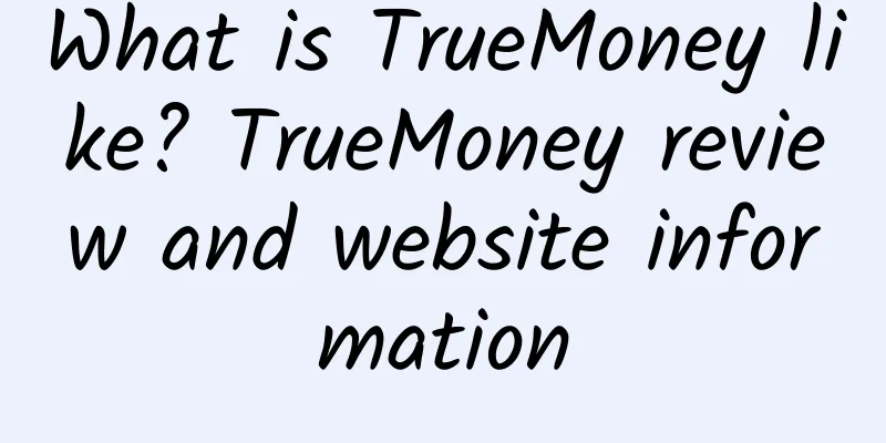 What is TrueMoney like? TrueMoney review and website information