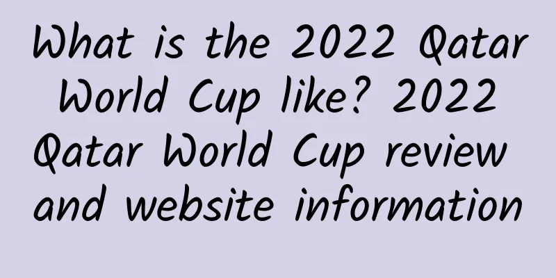 What is the 2022 Qatar World Cup like? 2022 Qatar World Cup review and website information