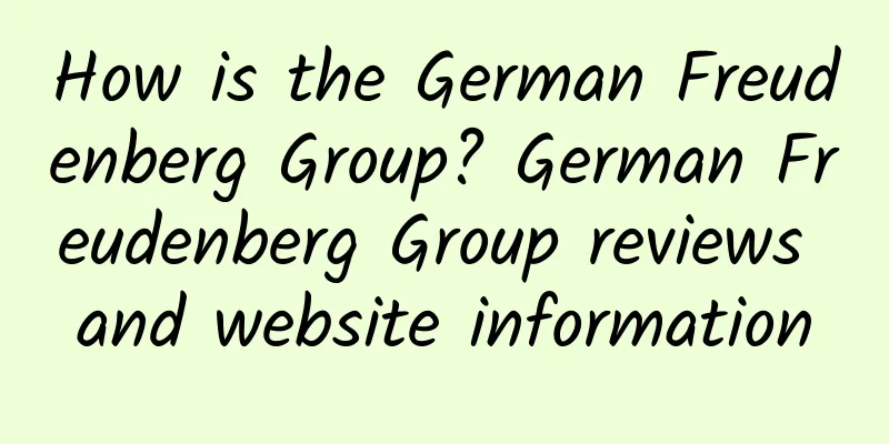 How is the German Freudenberg Group? German Freudenberg Group reviews and website information