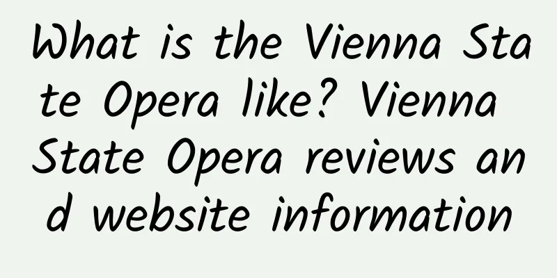 What is the Vienna State Opera like? Vienna State Opera reviews and website information