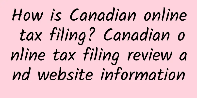 How is Canadian online tax filing? Canadian online tax filing review and website information
