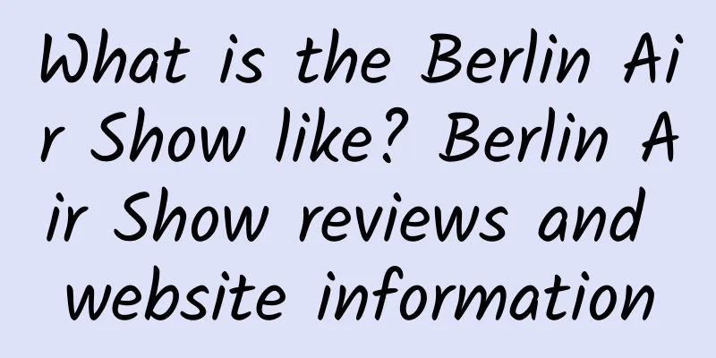 What is the Berlin Air Show like? Berlin Air Show reviews and website information