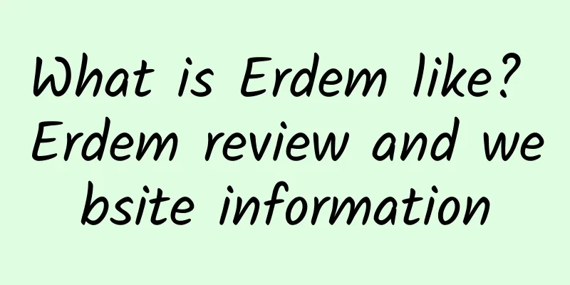 What is Erdem like? Erdem review and website information