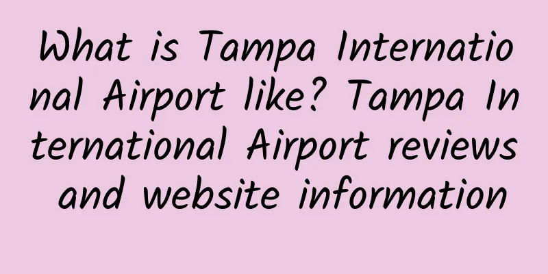 What is Tampa International Airport like? Tampa International Airport reviews and website information