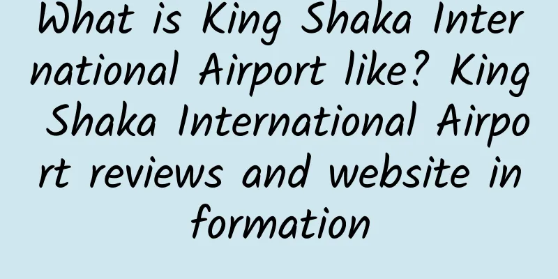What is King Shaka International Airport like? King Shaka International Airport reviews and website information