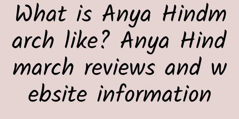 What is Anya Hindmarch like? Anya Hindmarch reviews and website information