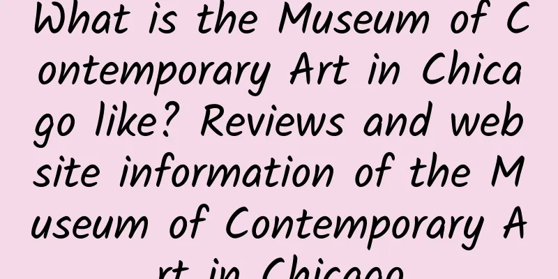 What is the Museum of Contemporary Art in Chicago like? Reviews and website information of the Museum of Contemporary Art in Chicago