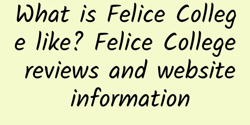 What is Felice College like? Felice College reviews and website information