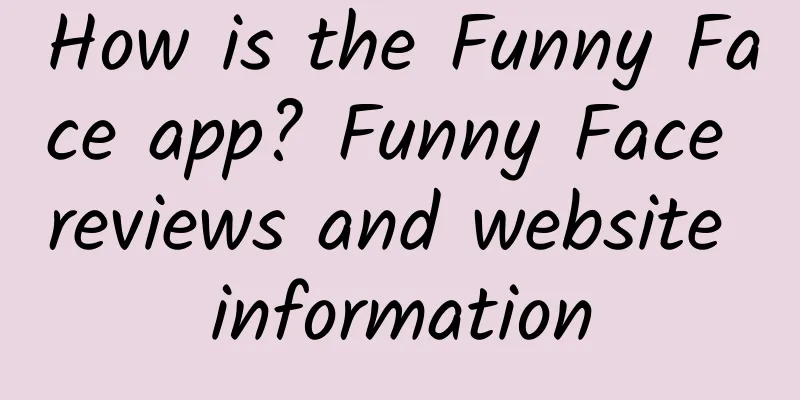 How is the Funny Face app? Funny Face reviews and website information