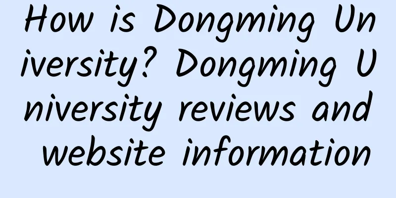 How is Dongming University? Dongming University reviews and website information