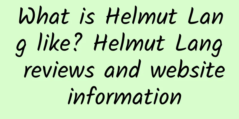 What is Helmut Lang like? Helmut Lang reviews and website information
