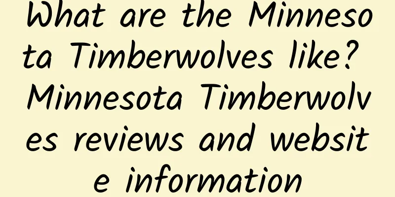What are the Minnesota Timberwolves like? Minnesota Timberwolves reviews and website information